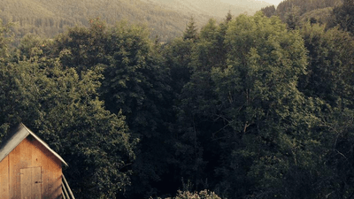 Doctor - professional stock photography