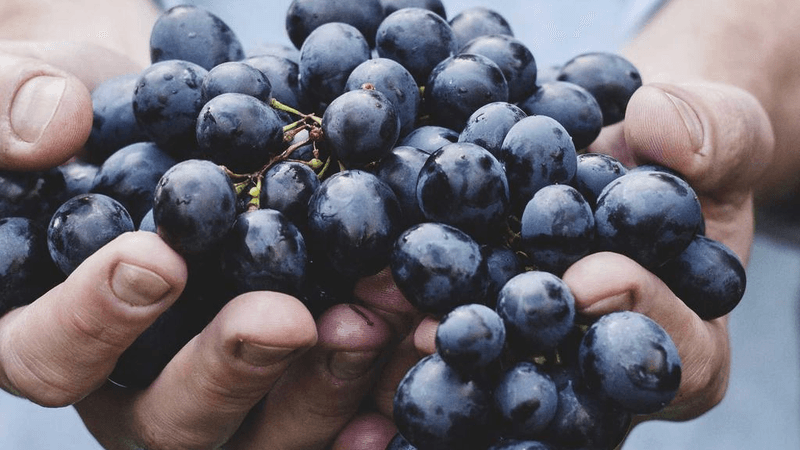 Exercise - professional stock photography