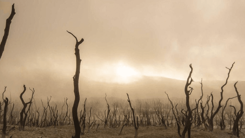 Exercise - professional stock photography