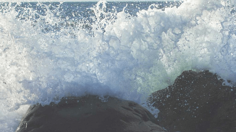 Fruits - professional stock photography