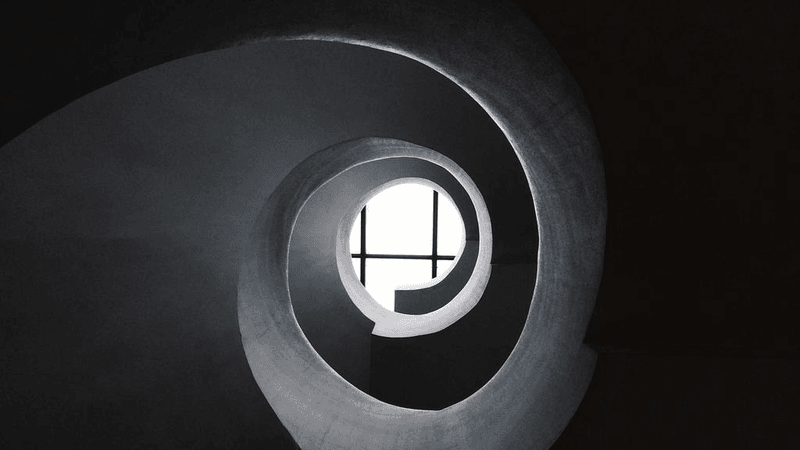 Nature Walk - professional stock photography