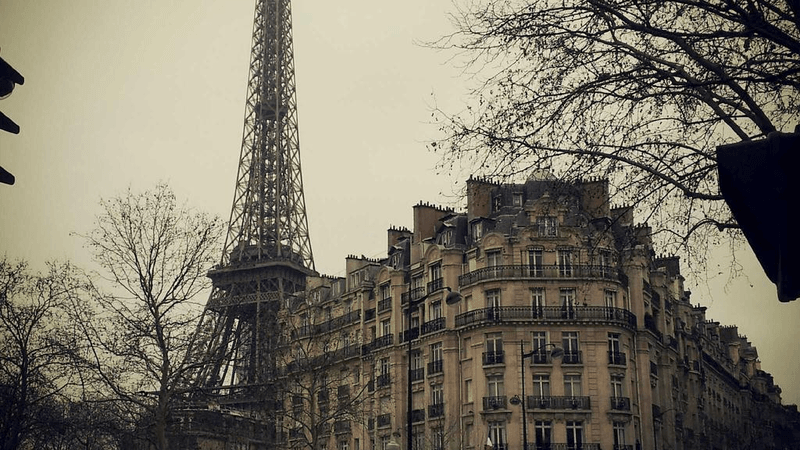 Nature Walk - professional stock photography