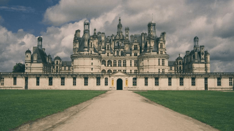 Salad - professional stock photography