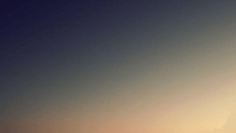 Salad - professional stock photography