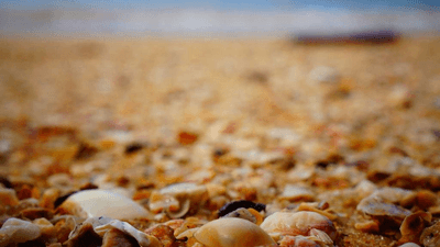 Smoothie - professional stock photography