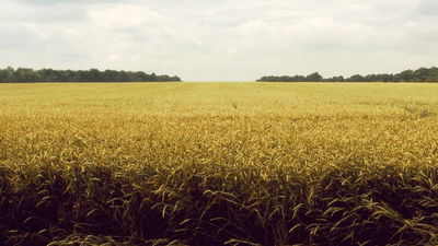 Stretching - professional stock photography