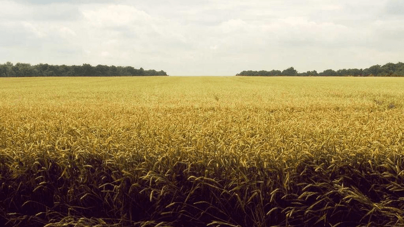 Stretching - professional stock photography