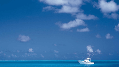 Therapy - professional stock photography