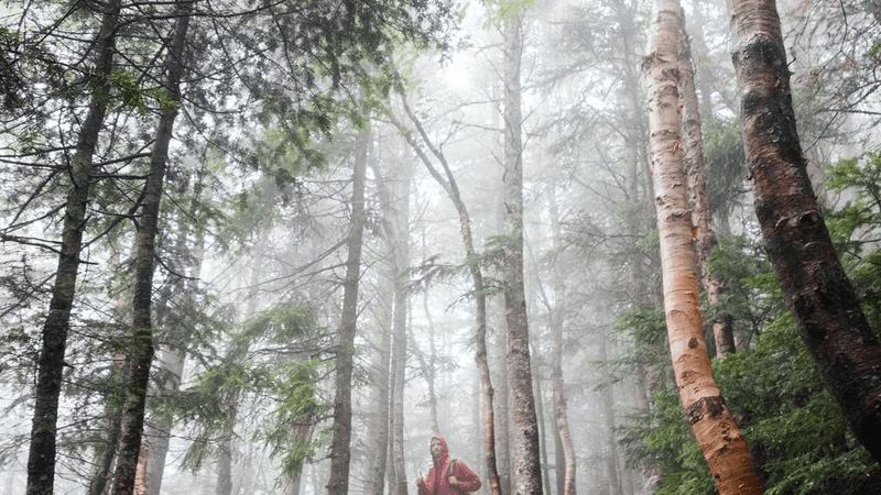 Water - professional stock photography