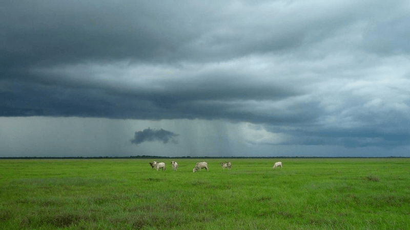 Wellness - professional stock photography