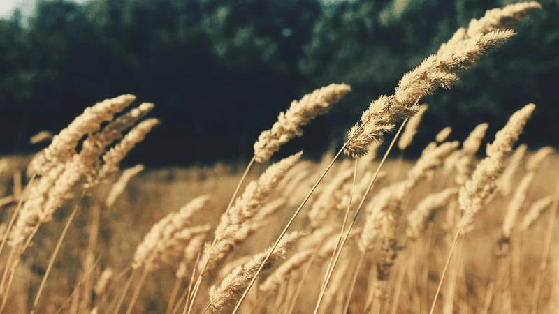 Wellness - professional stock photography